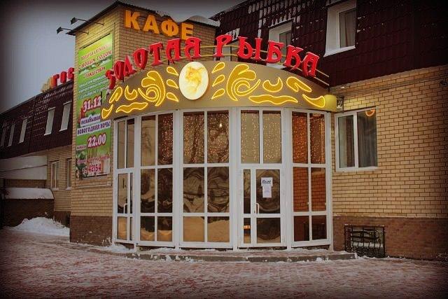 Фото Золотая рыбка