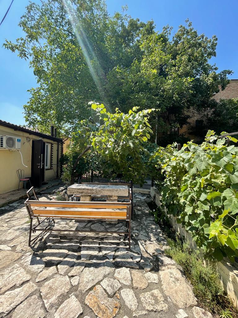 Фото Роза Кавказа