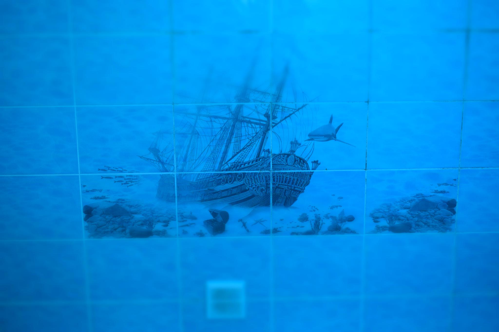 Фото Евразия