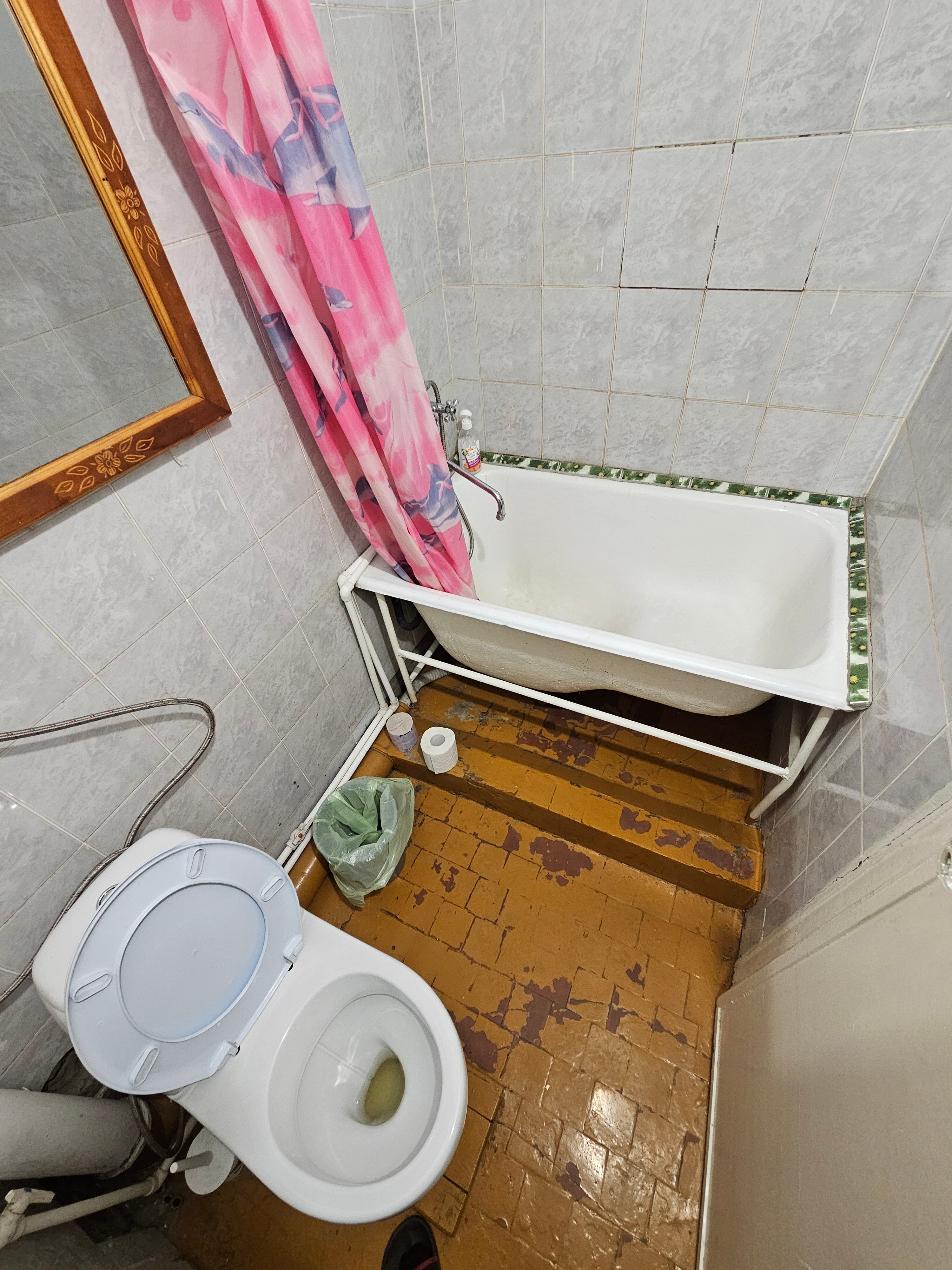 Фото Солнечная