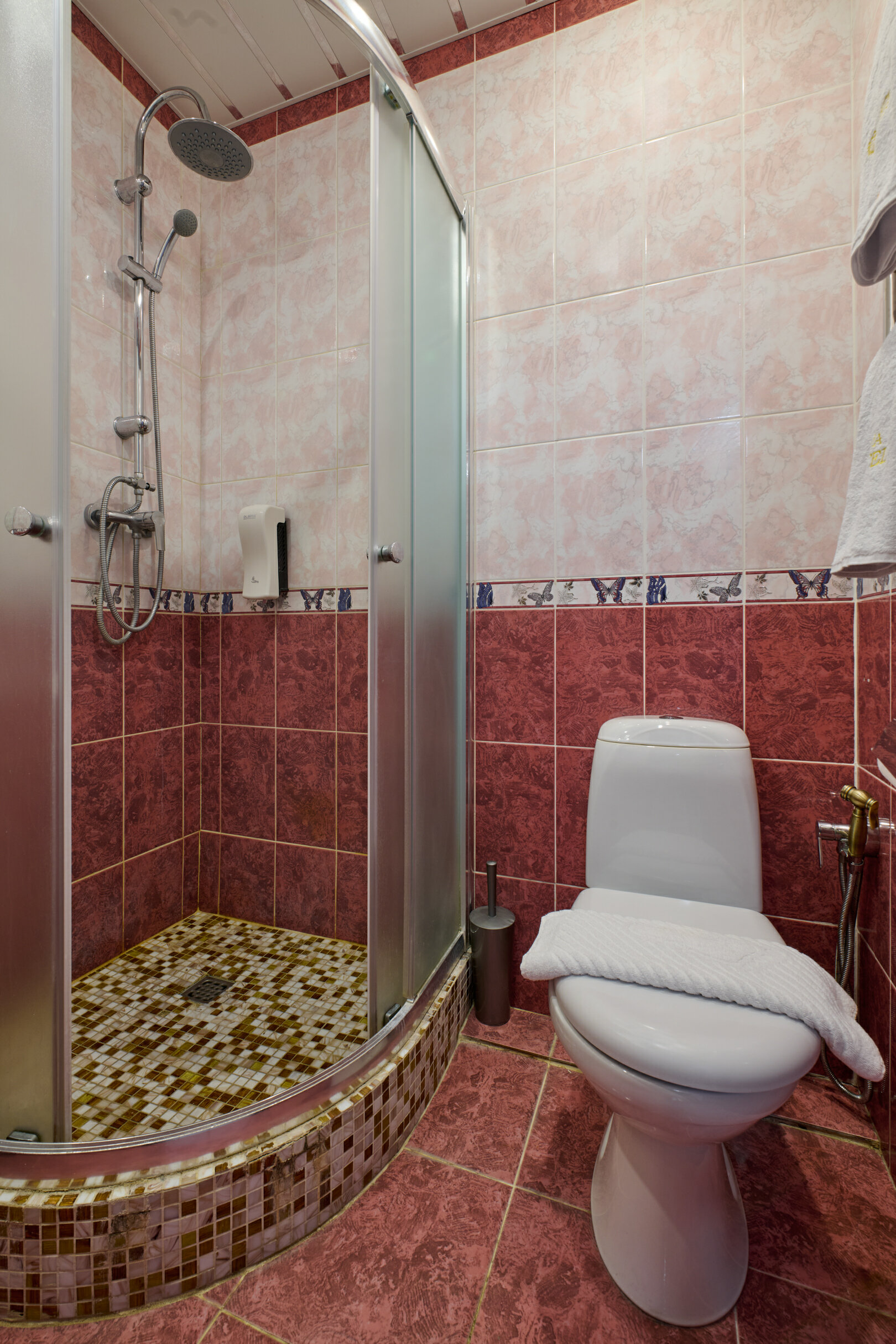 Фото Колибри