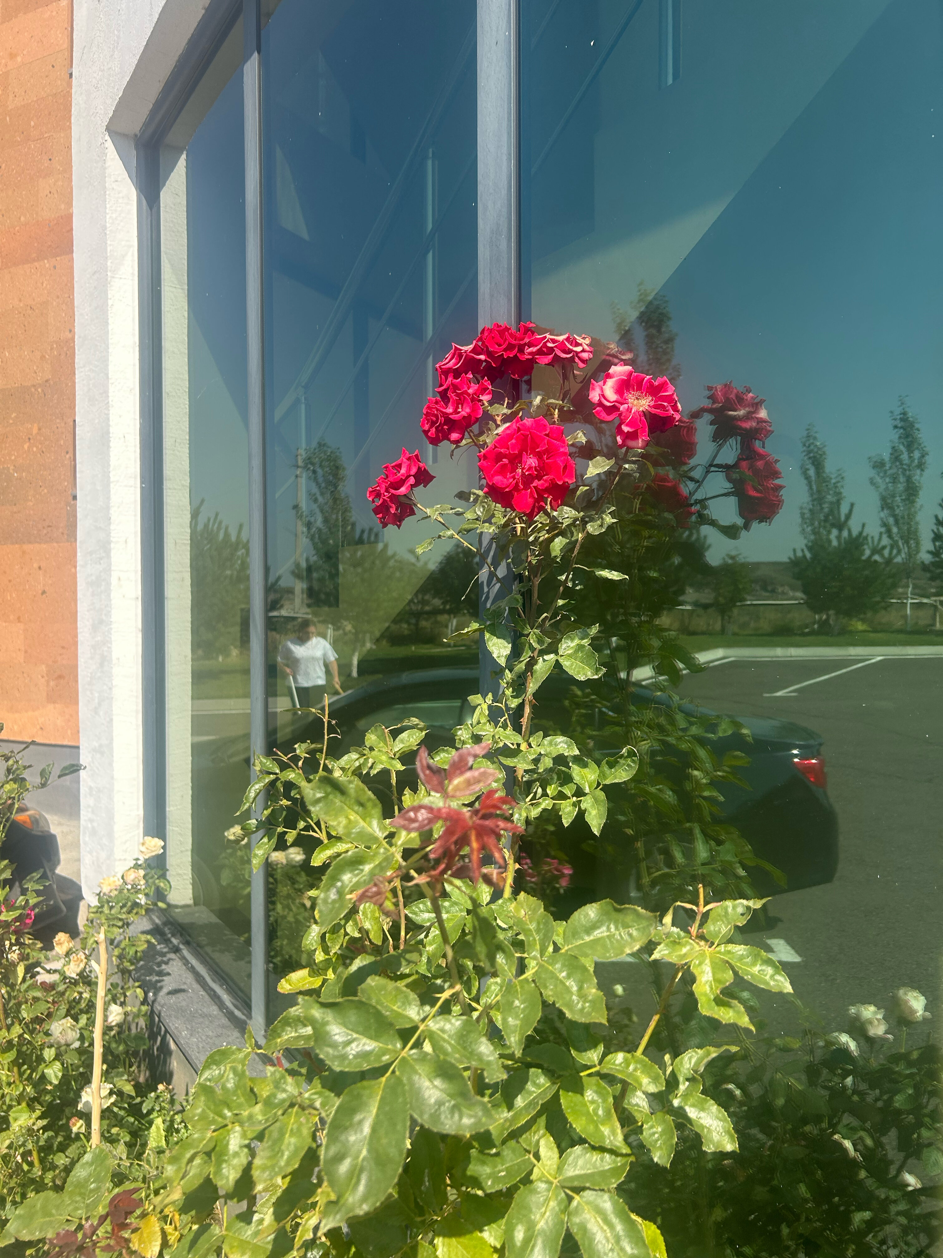 Фото Семейный Гостиничный Комплекс Цовасар