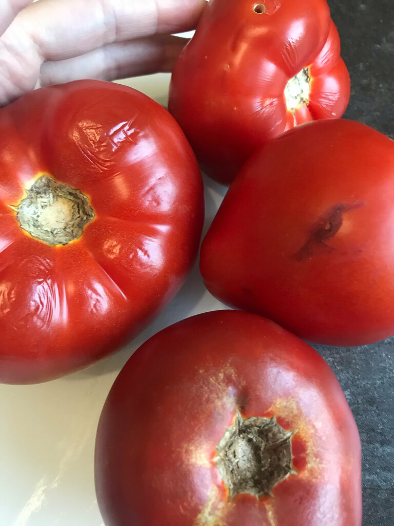 Greengrocery Овощи-фрукты, Tula, photo