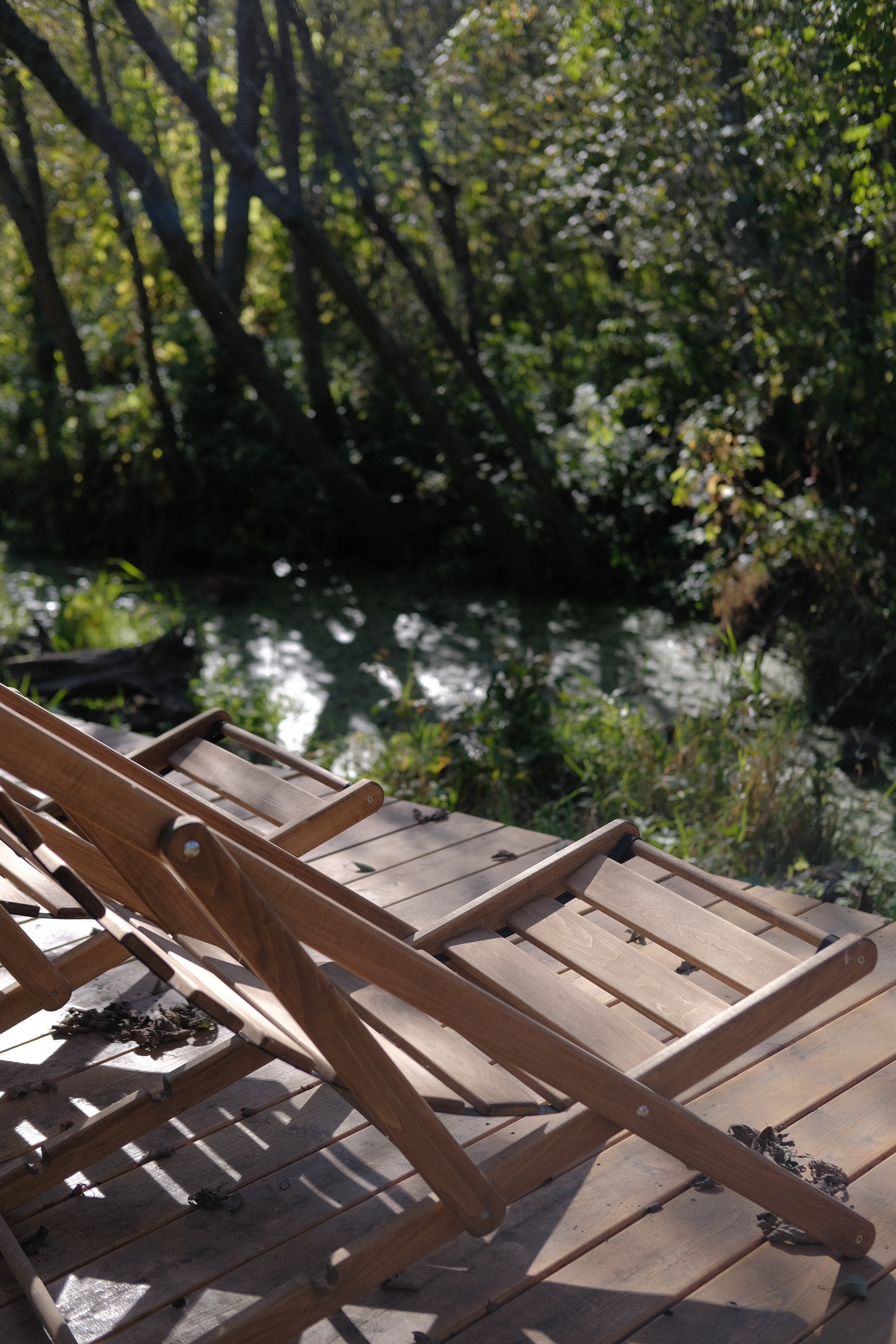 Фото Вудхаус