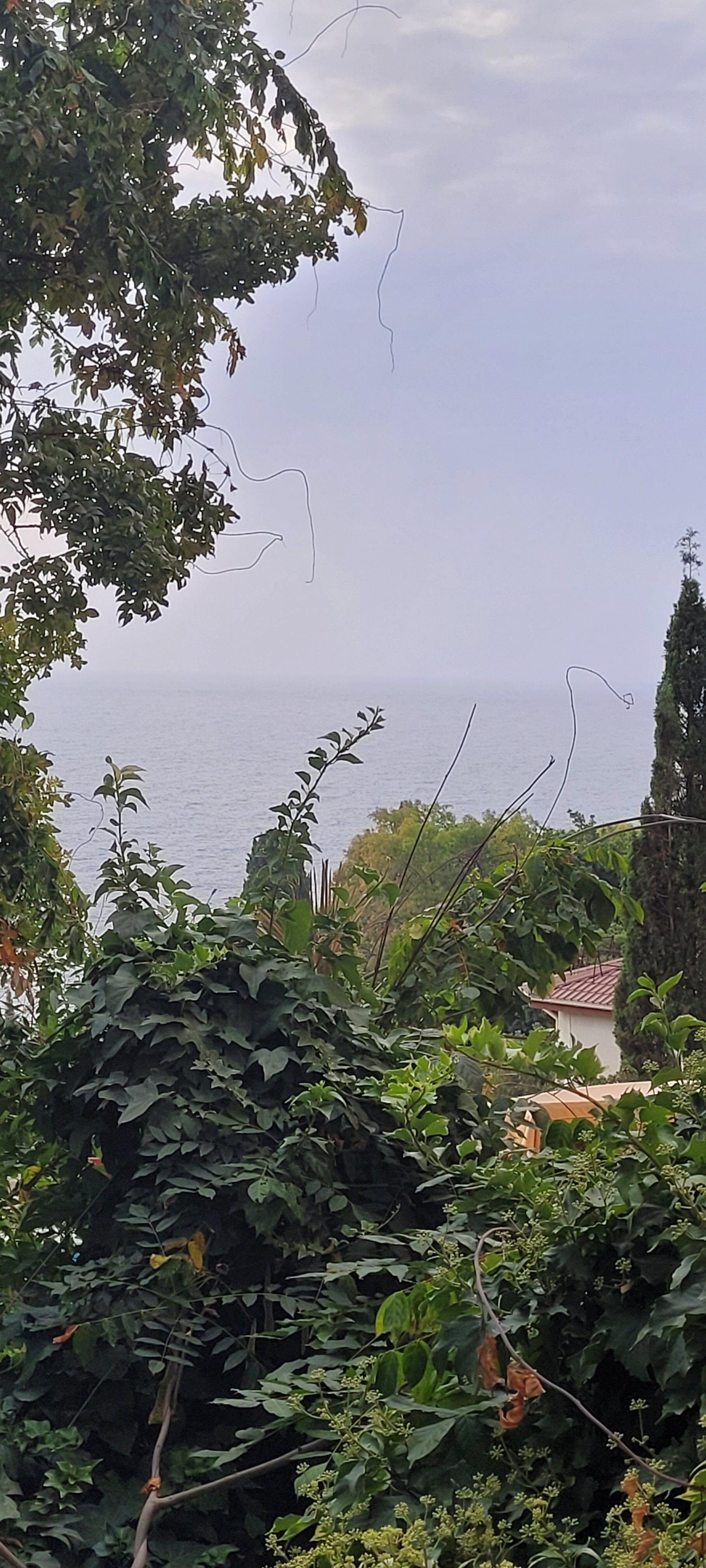 Фото Вилла Парадиз