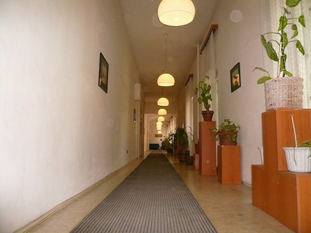 Фото Dominik Panzio