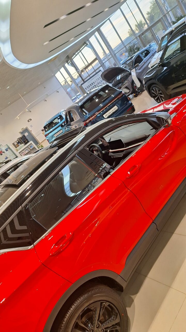 photo Belgee, Артекс