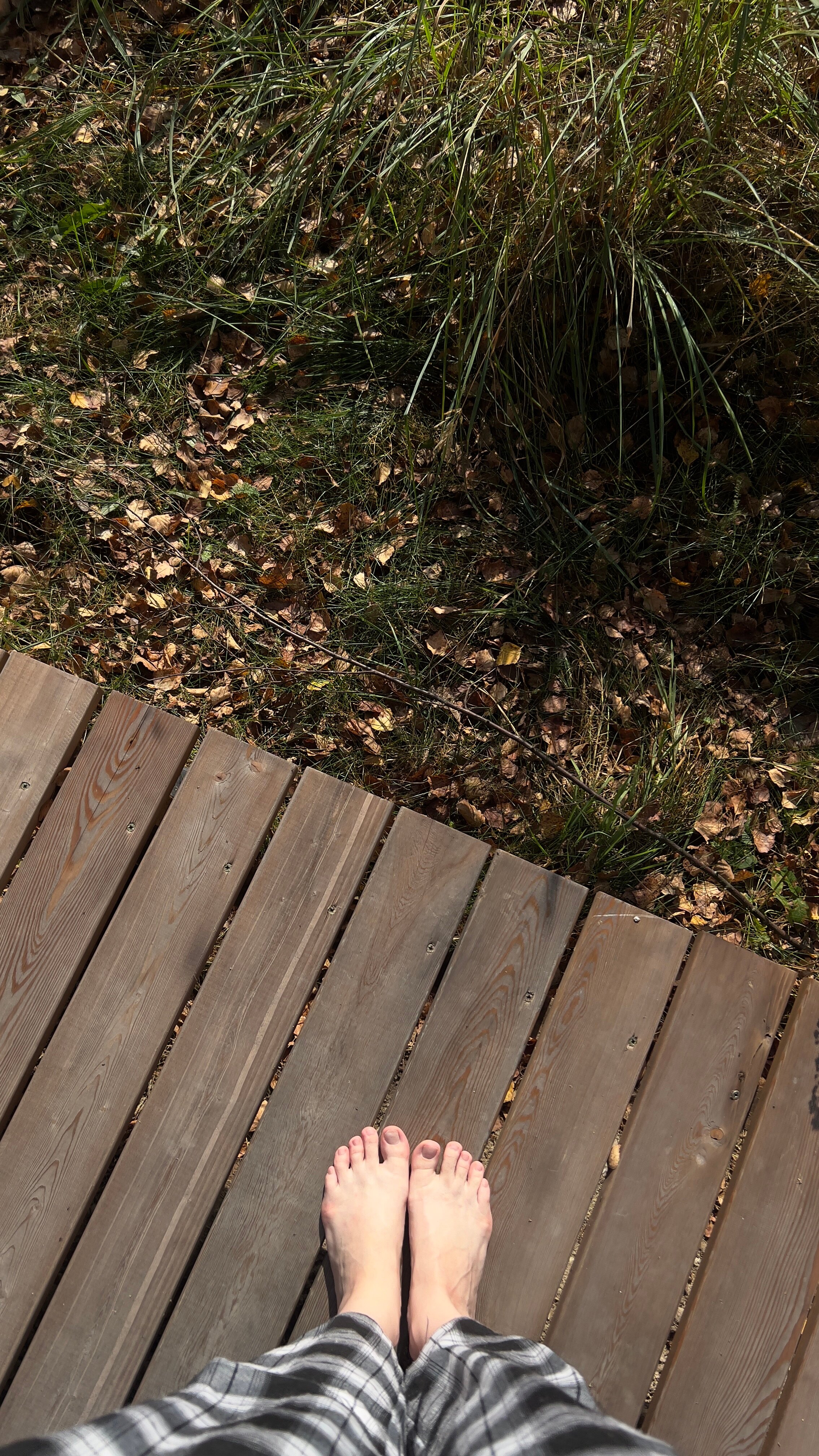 Фото Козы да Березы