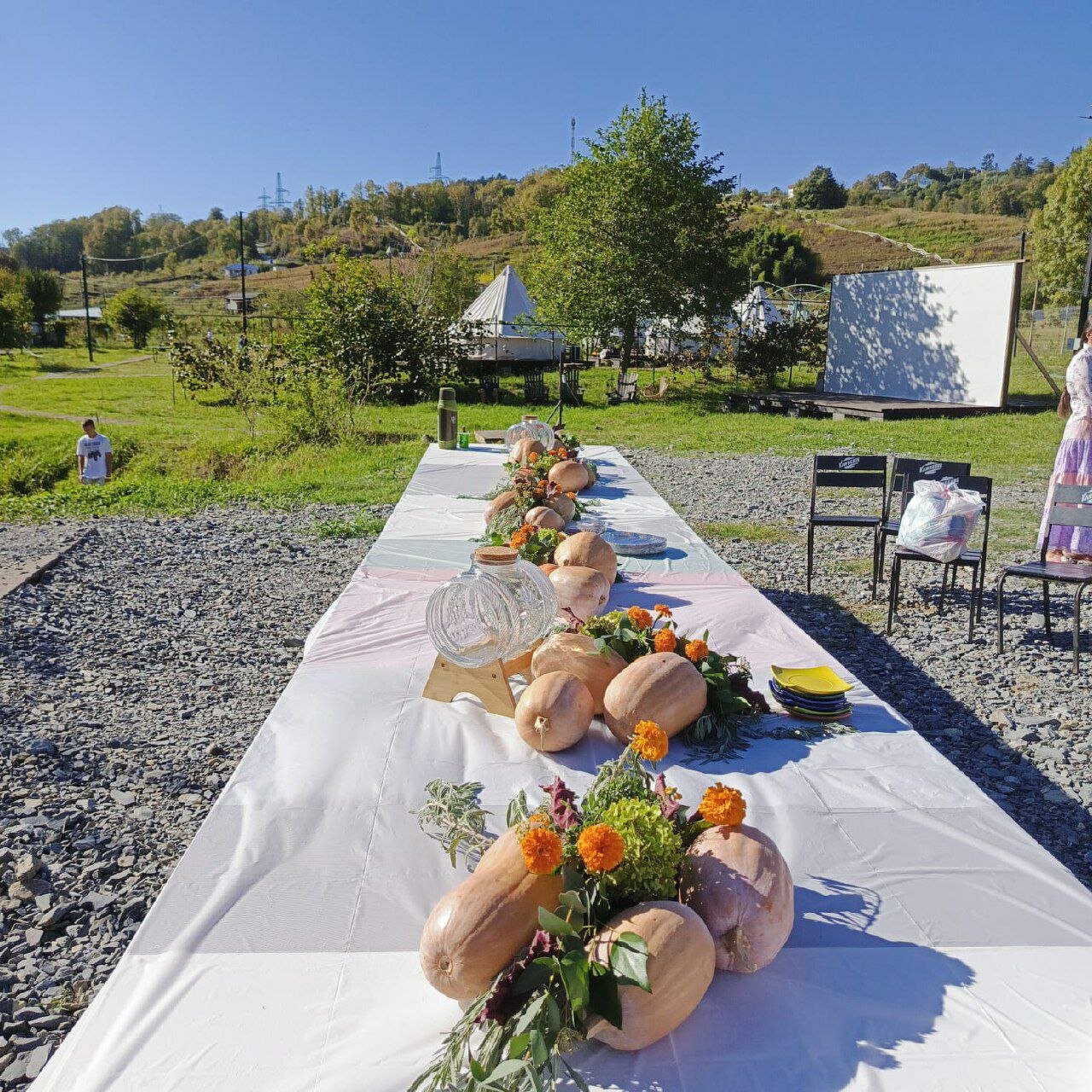 Фото Сад чудес