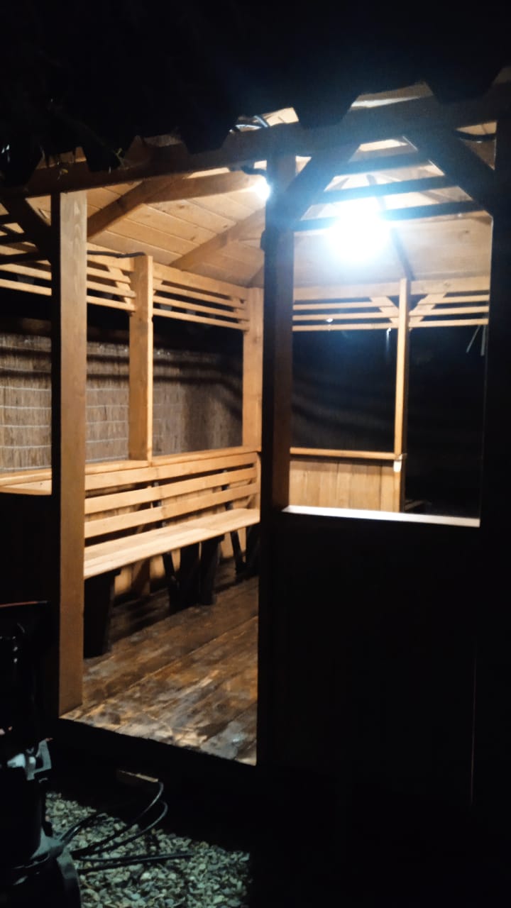 Фото Ёлки-Иголки