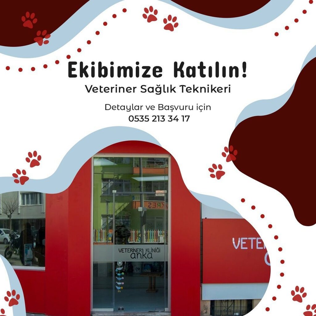 Veterinary clinic Akhisar Anka Veterinary Clinic - Pet Grooming, Akhisar, photo