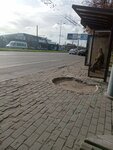 Kutaisskaya street (Kaliningrad, Moskovskiy Avenue), parada de transporte público