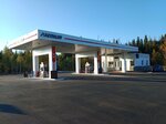 АЗС (posyolok Privokzalny, Traktovaya ulitsa, 10), gas station