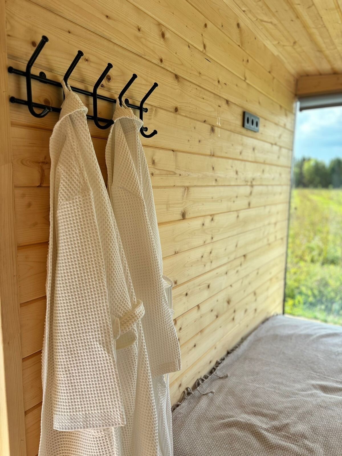 Фото Белая ежевика