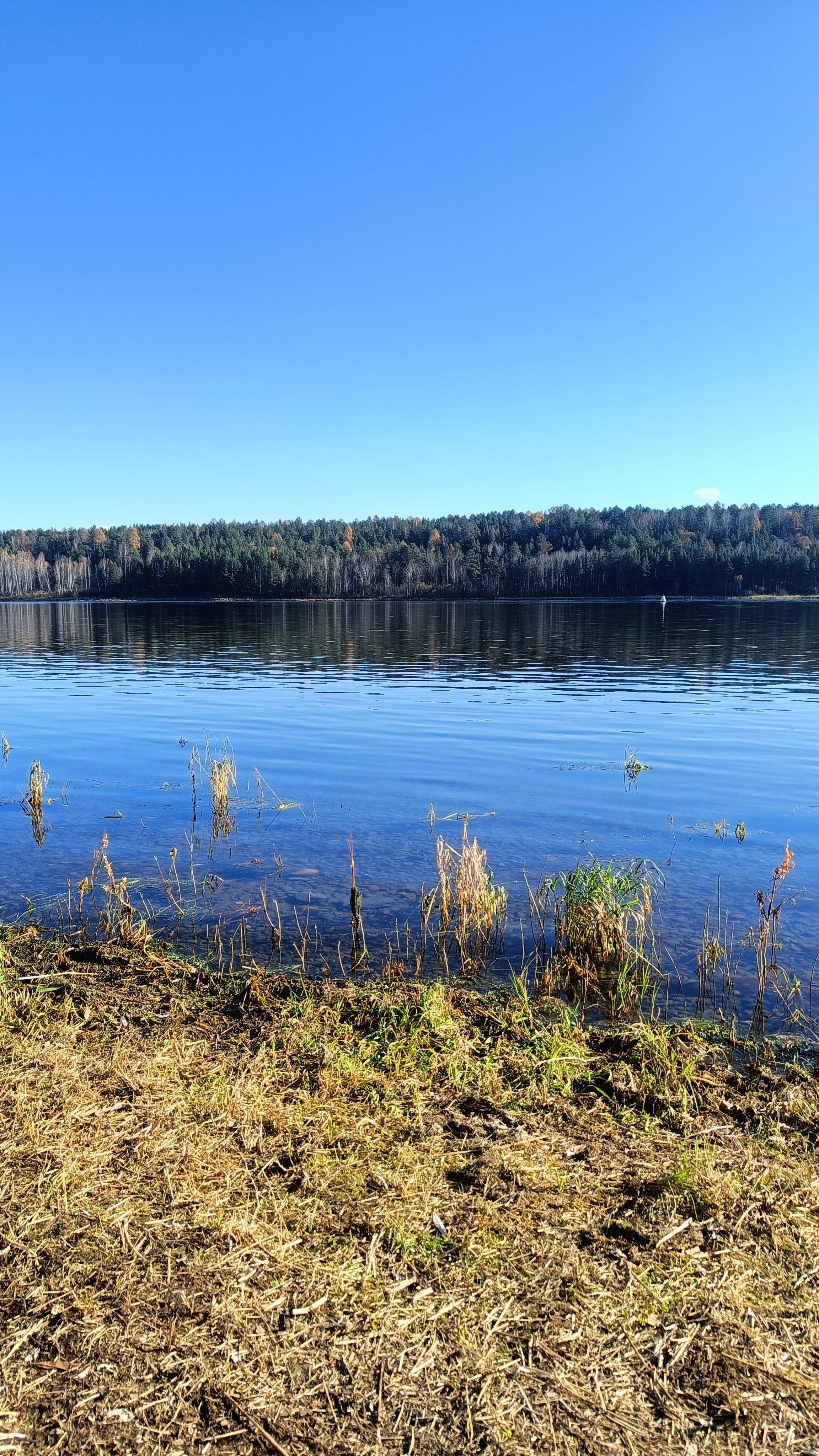 Фото Мишкины Шишки