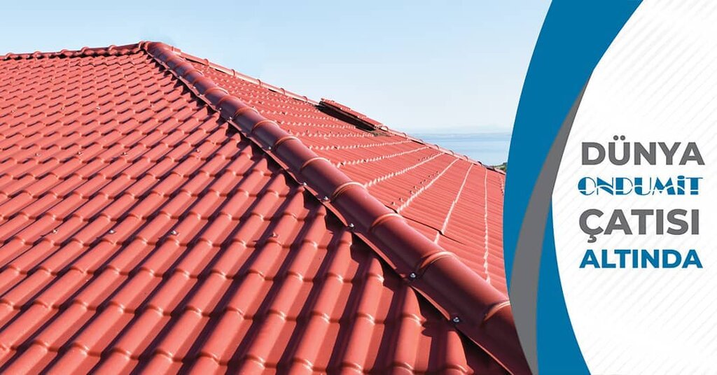 Woodworking enterprise Aycan Forest Products and Insulation, Antalya, photo