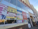 Ксерокс (Vtorchermet Urban Housing District, Eskadronnaya Street, 29), copy center