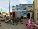Veloking (Karagandy, Vasiliy Molokov Street) ، متجر للدراجات الهوائية
