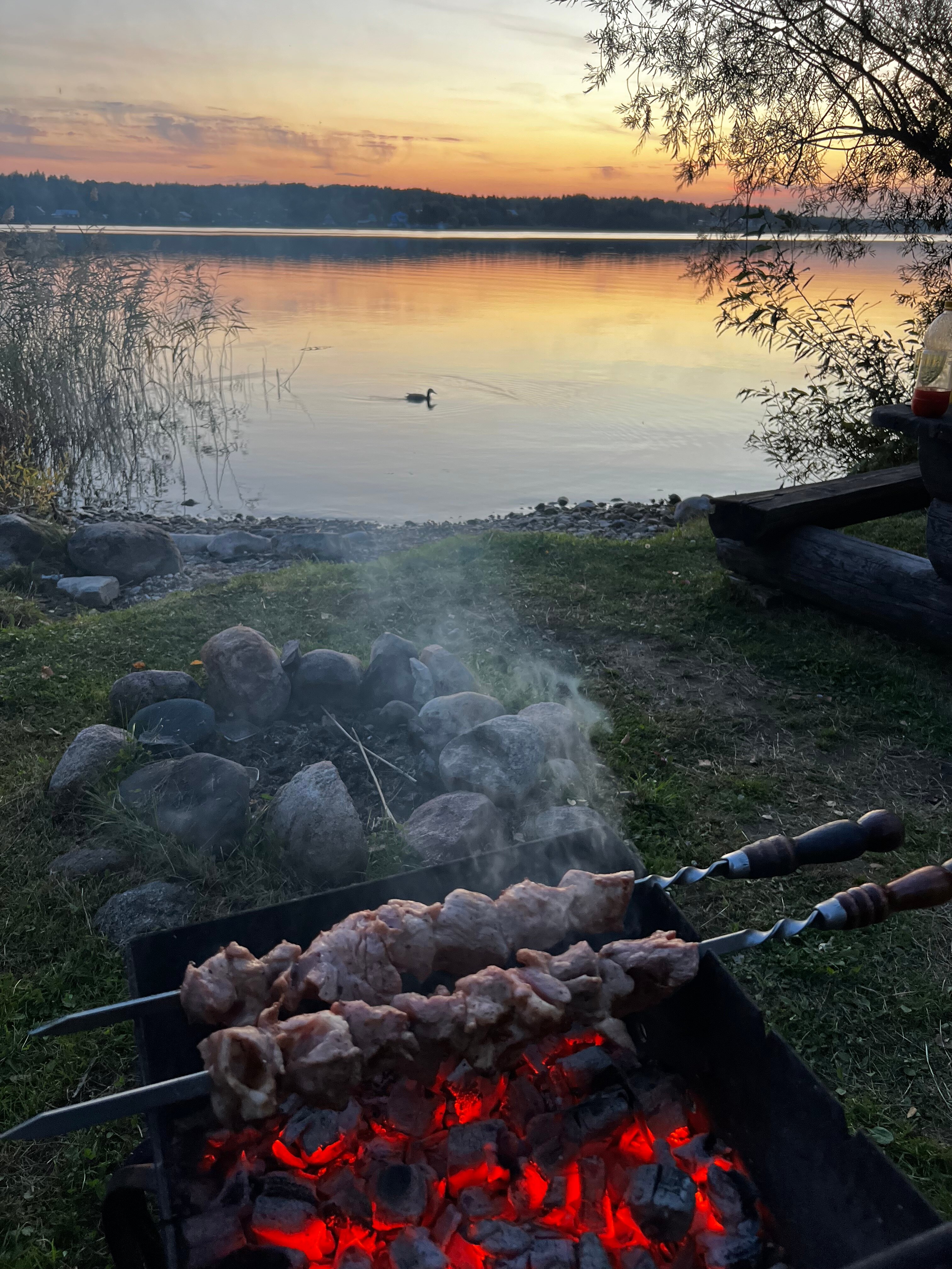 Фото Экотель