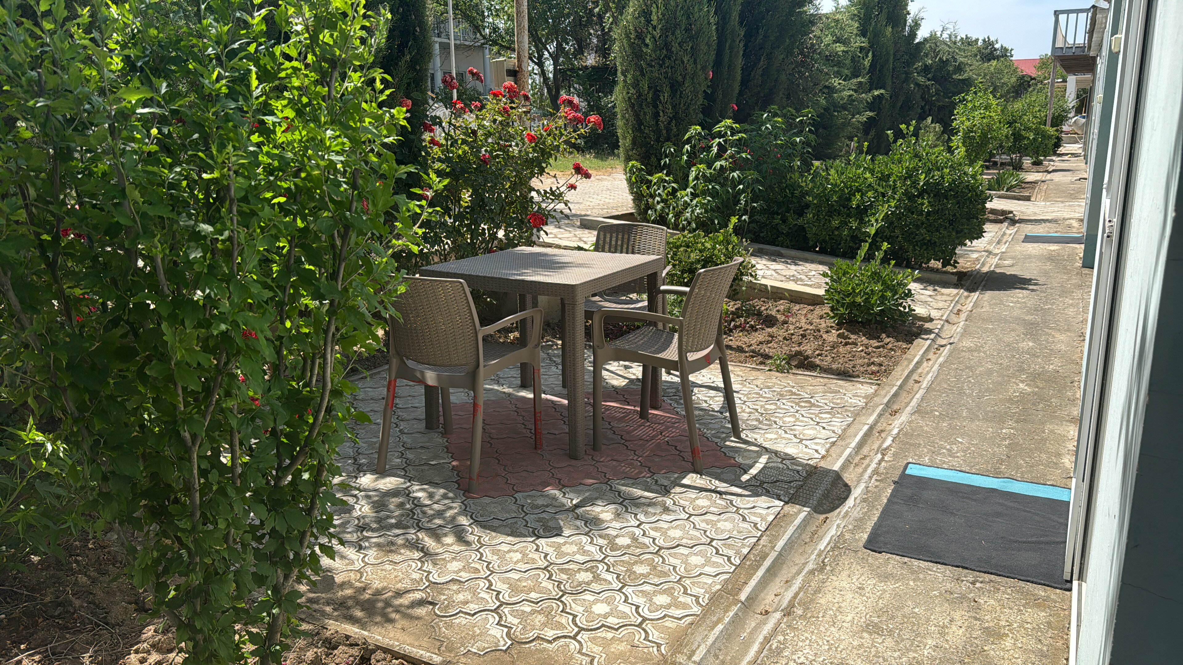 Фото Дельфин