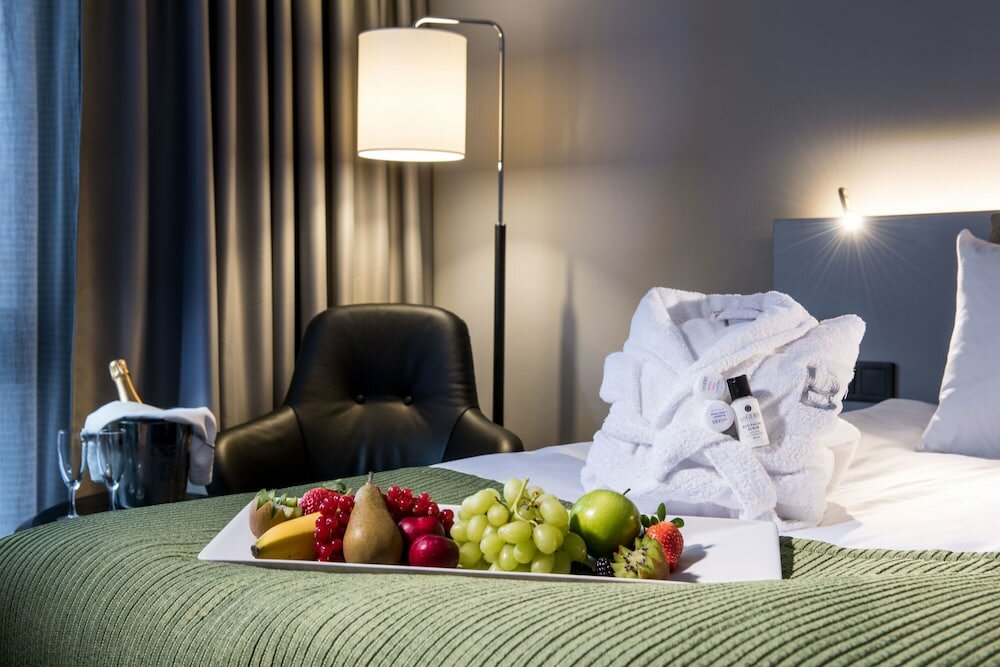 Фото Hotel Birger Jarl