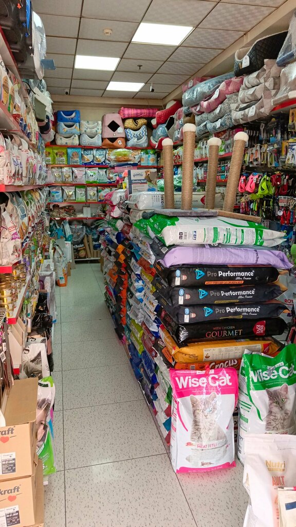 Pet shop Blue Pet Shop and Aquarium World, Konya, photo