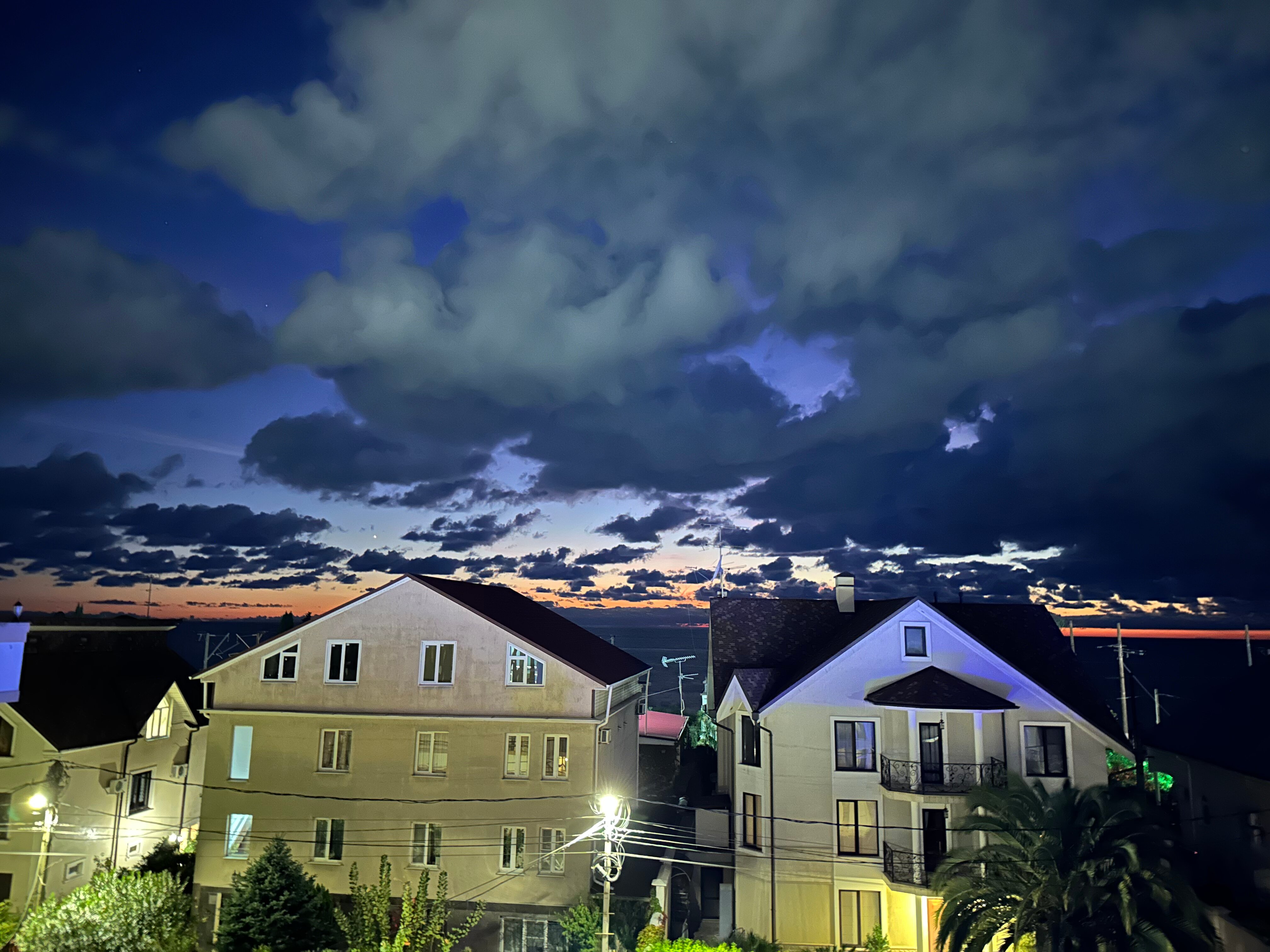 Фото Орхидея