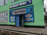 Marlin (mikrorayon Novy gorod, ulitsa Chernyshyova, 16) ، لوازم صيد
