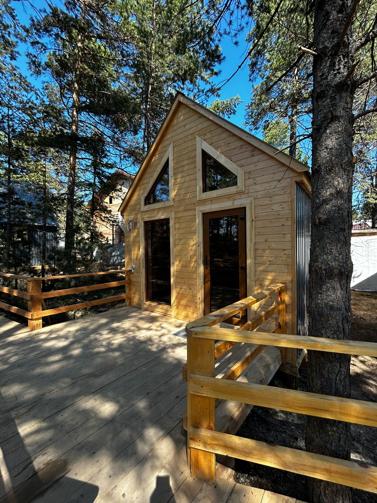 Фото Багульник