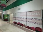 Anit flowers (Moscow Region, Leninskiy City District, Varshavskoye shosse, 21-y kilometr, с26), flower shop