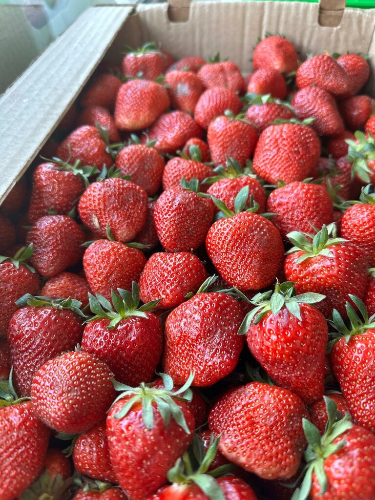 Greengrocery Avacado, Taraz, photo