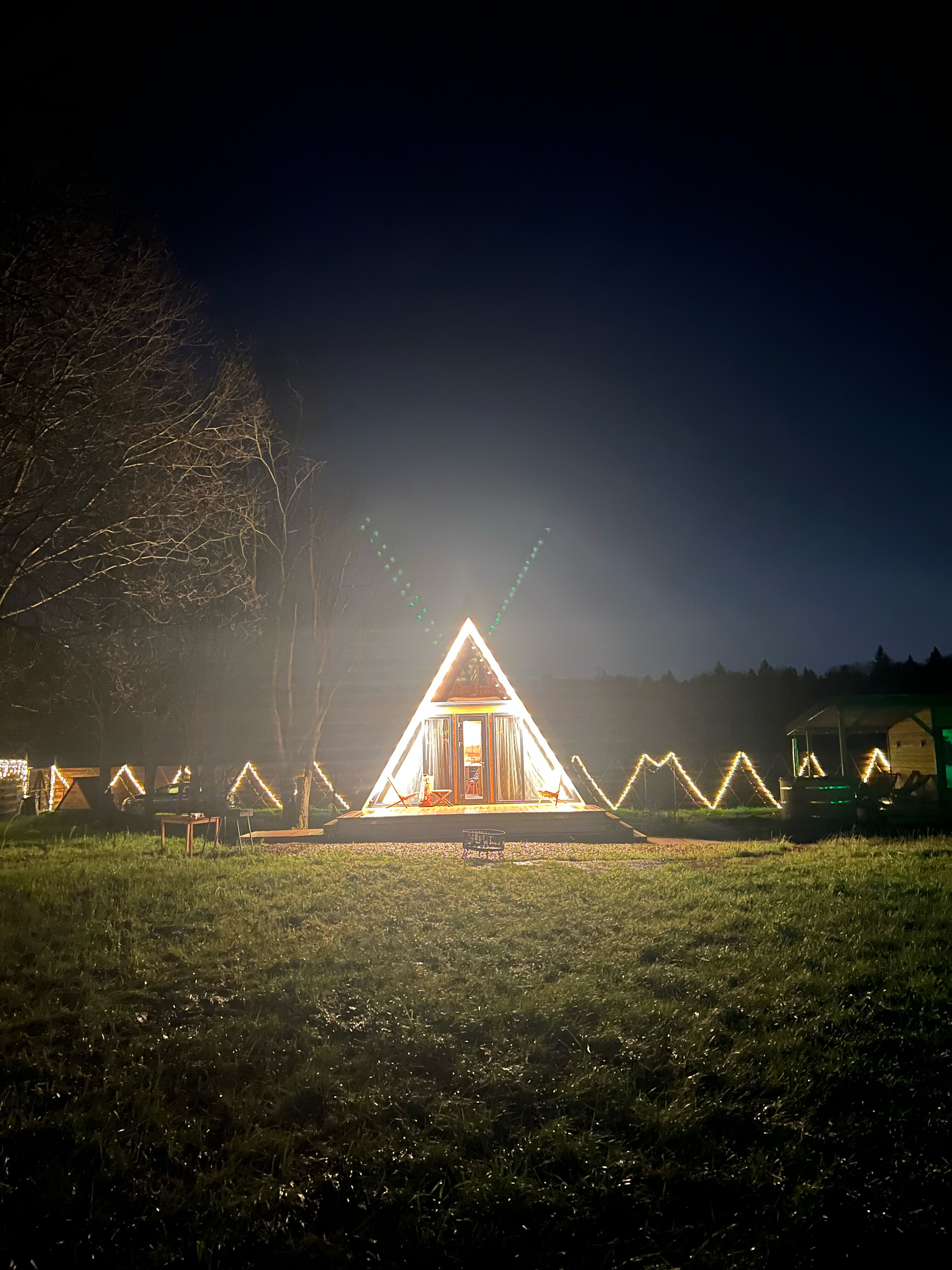 Фото Ёлкино life