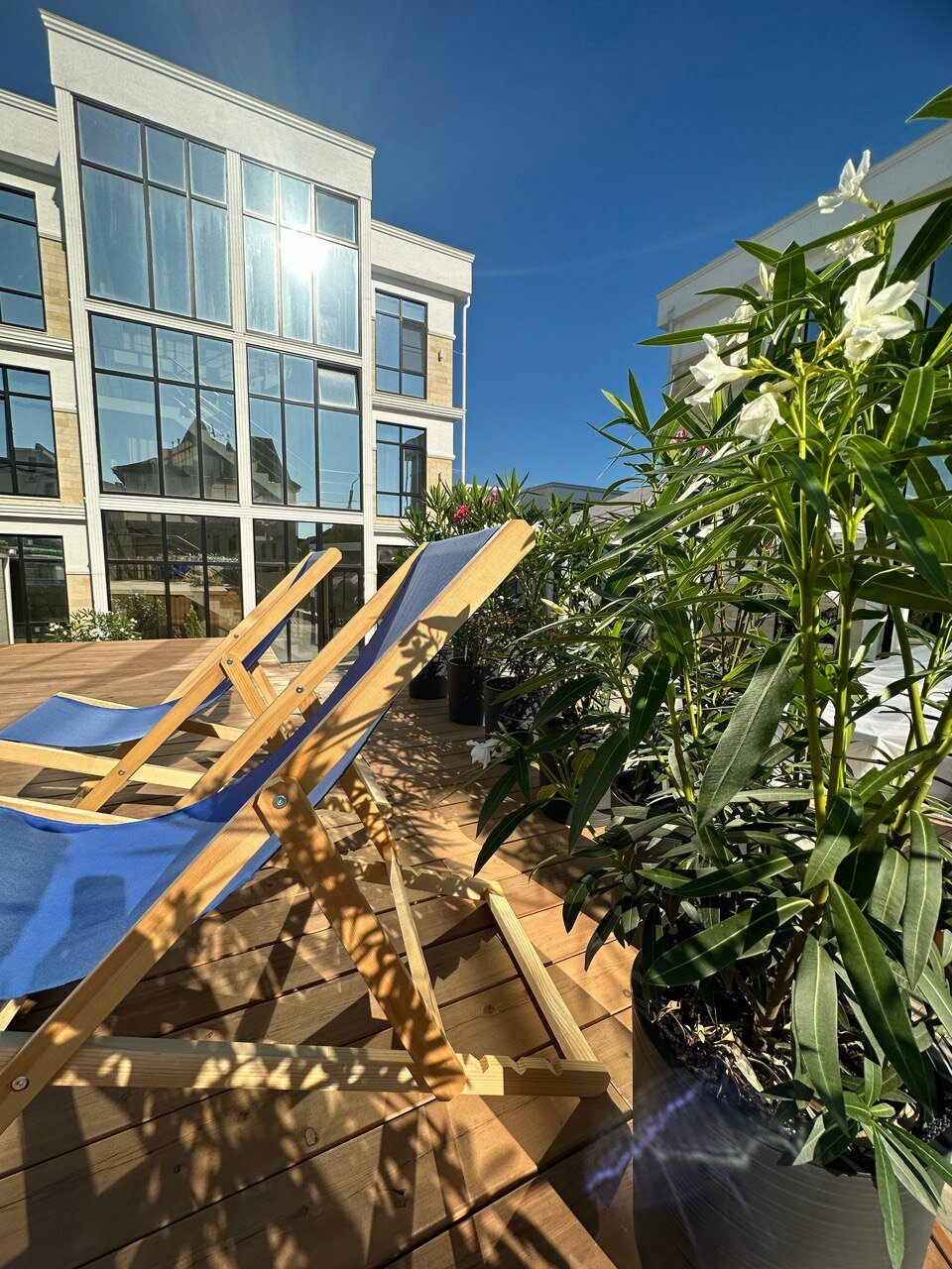 Фото Moor Apartments