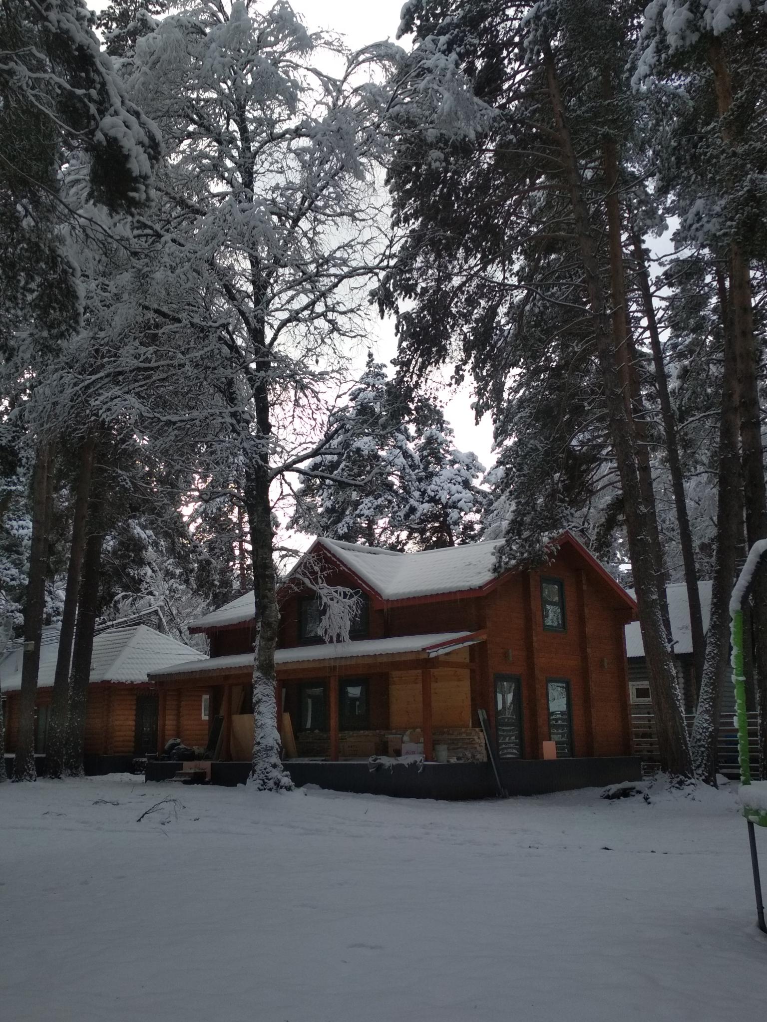 Фото Форест коттедж