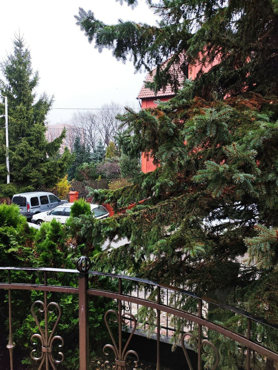 Фото ИнЛайк