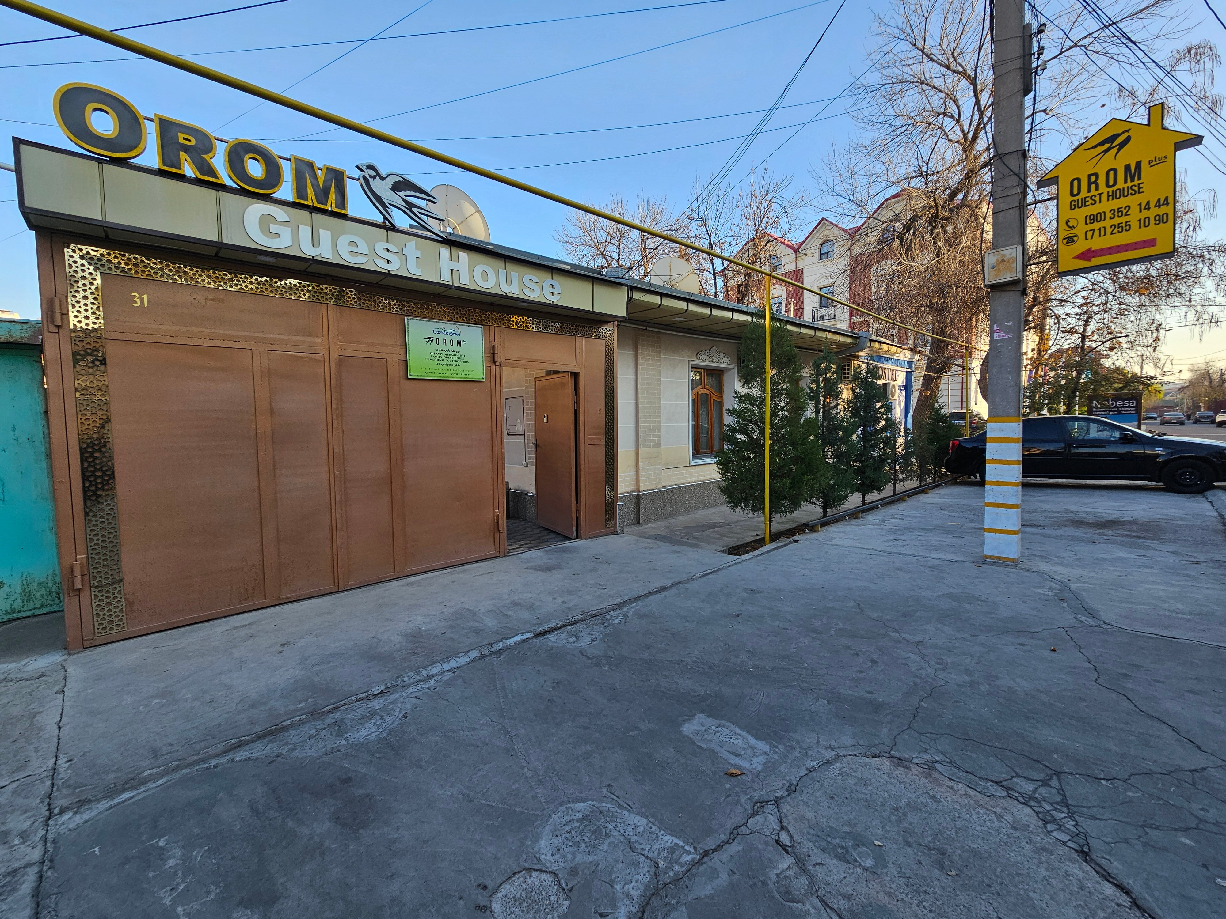 Фото 172879276566