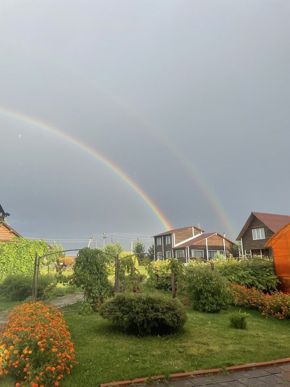 Фото Берендей