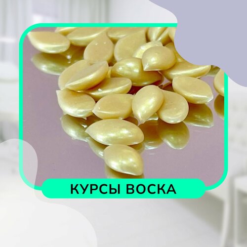 Мысықтарына не кірсе, соны итеріп жібереді (бейне)