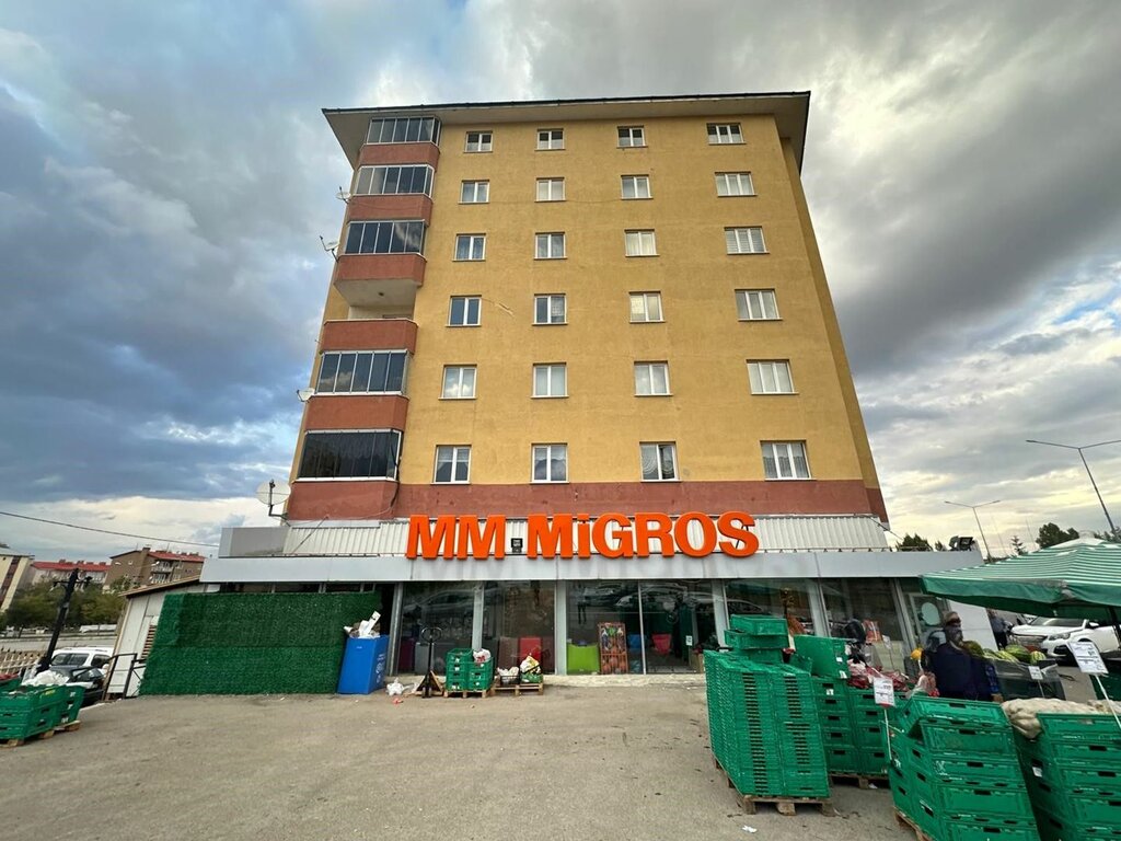 Real estate agency Altin Real Estate Erzurum Yakutiye, Erzurum, photo