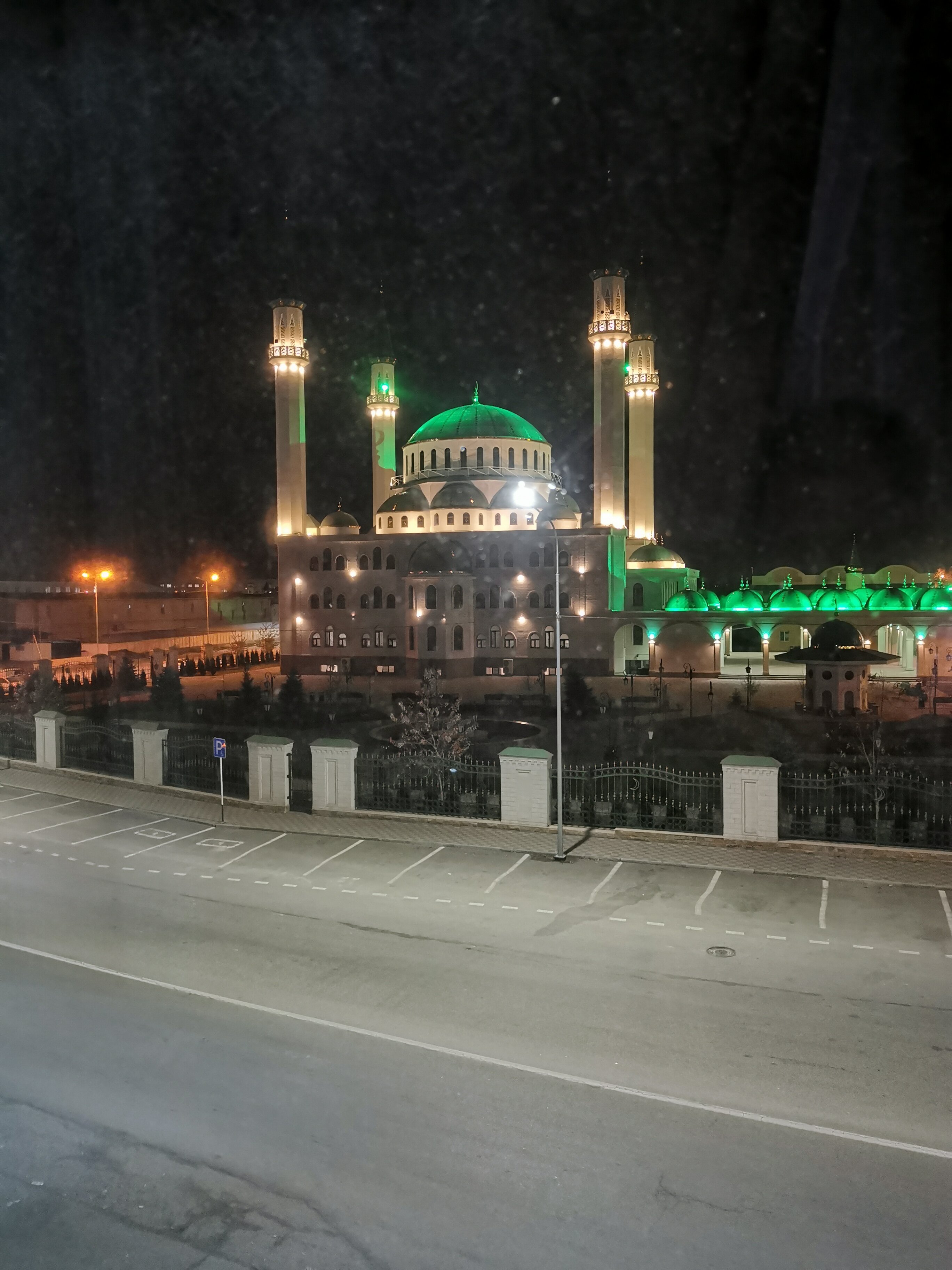 Фото Эдельвейс