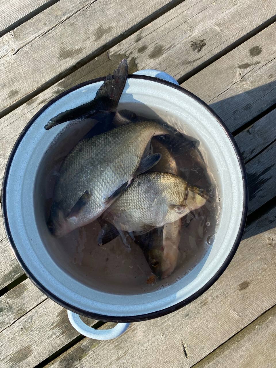 Фото Гостевой комплекс в деревне Нурмолицы