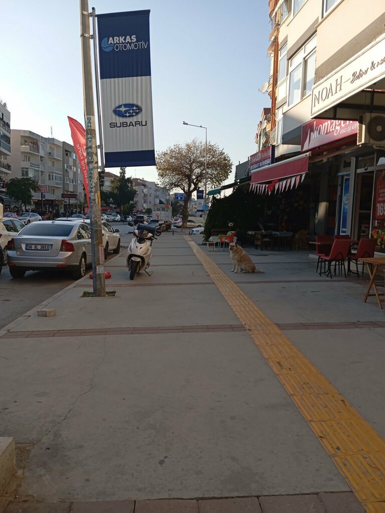 ATM Yapi Kredi, Izmir, photo