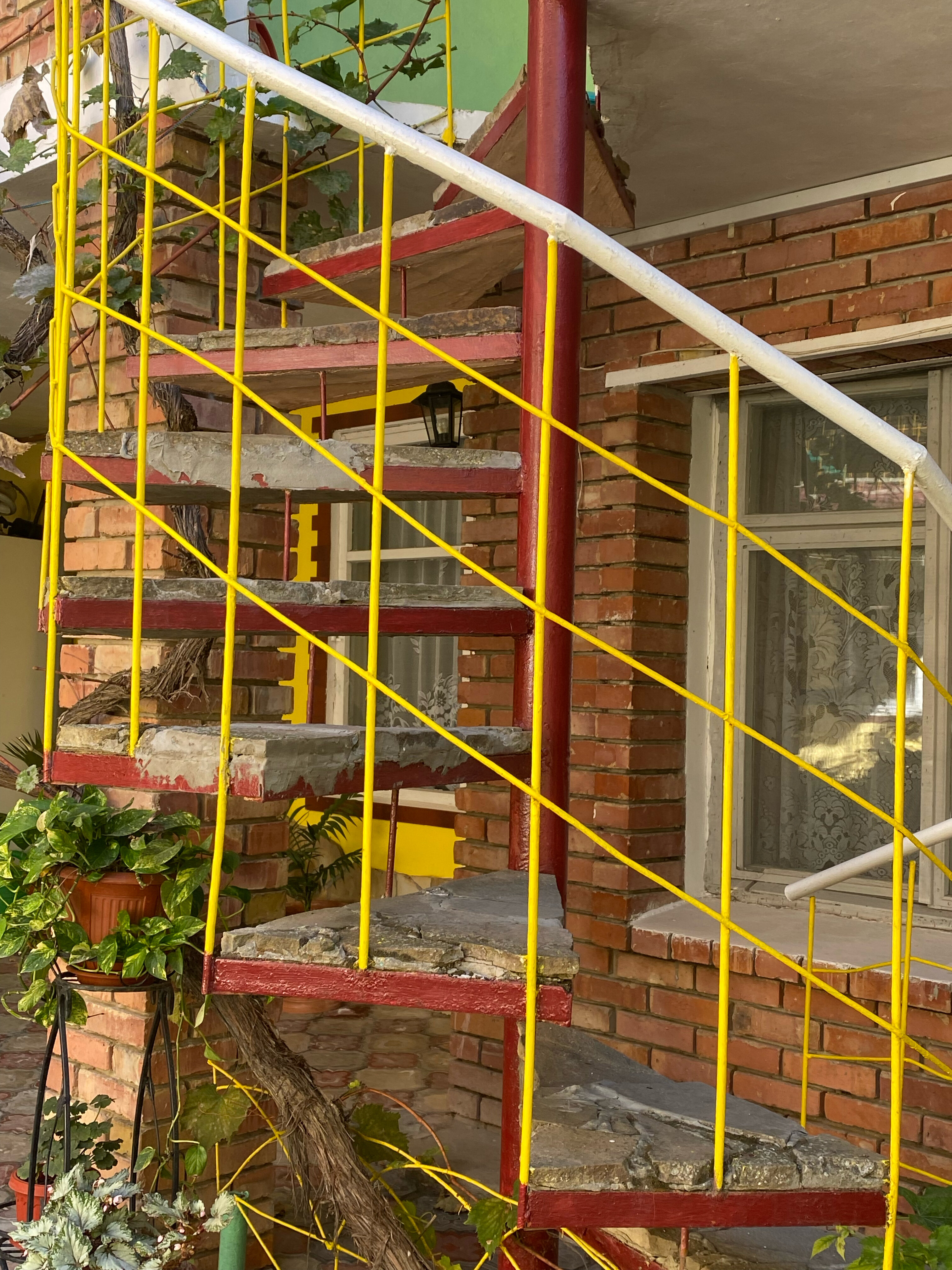 Фото Экзотик