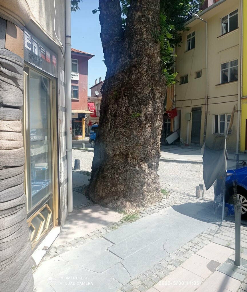 Restaurant Ladik Lezzet Lokantasi, Ladik, photo