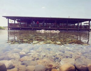 Istanbullu Et Lokantasi (Çanakkale, Biga District, Village of Bahceli) ، مقهى