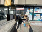 Sendal Antique (Ankara Province, Kecioren District, Ahmet Şefik Kolaylı Cad., 11), tienda de antiguedades