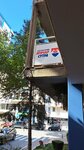 Srpska Napredna Stranka (gradska opština Vračar, Njegoseva Street, 54), political parties