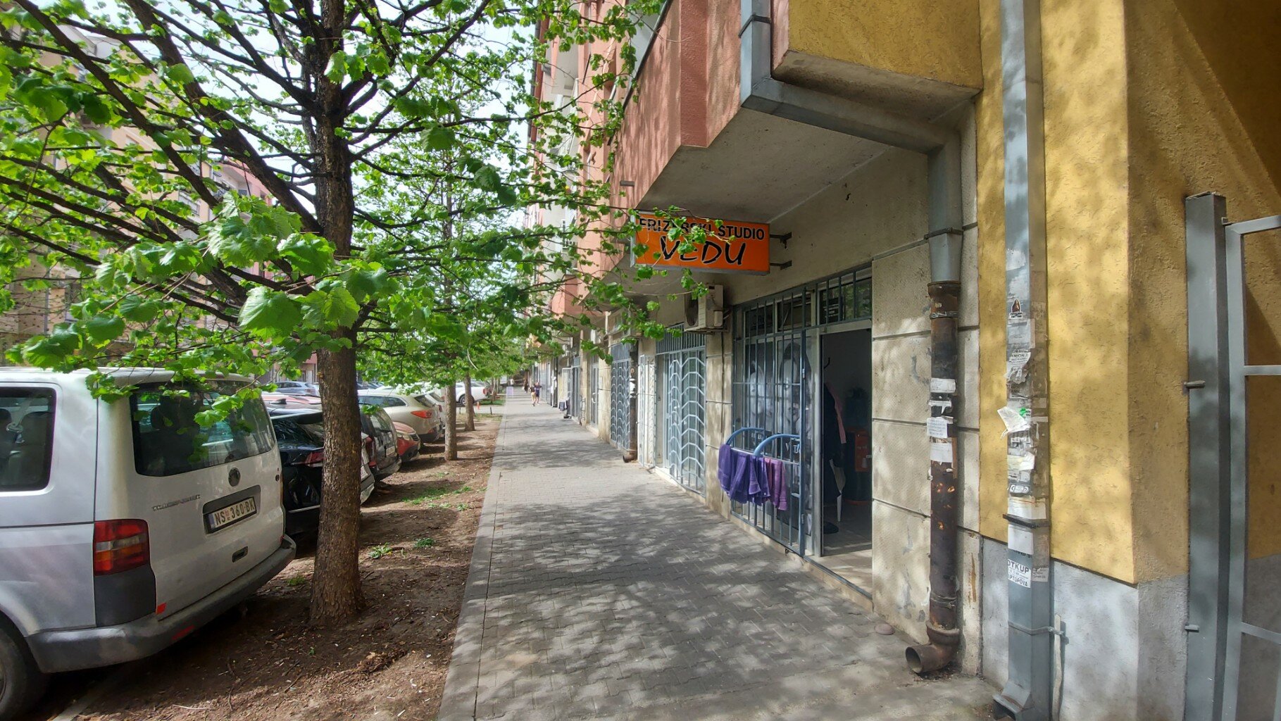 Vedu