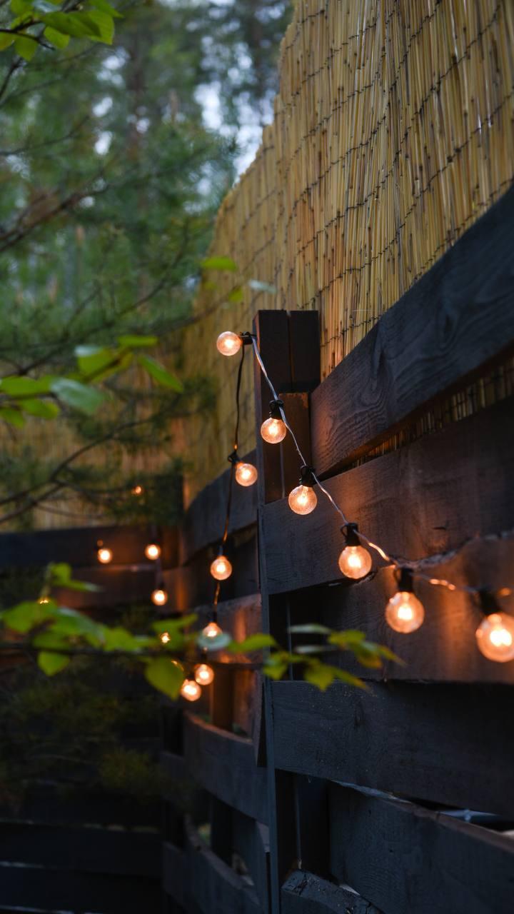 Фото 13 Берёз