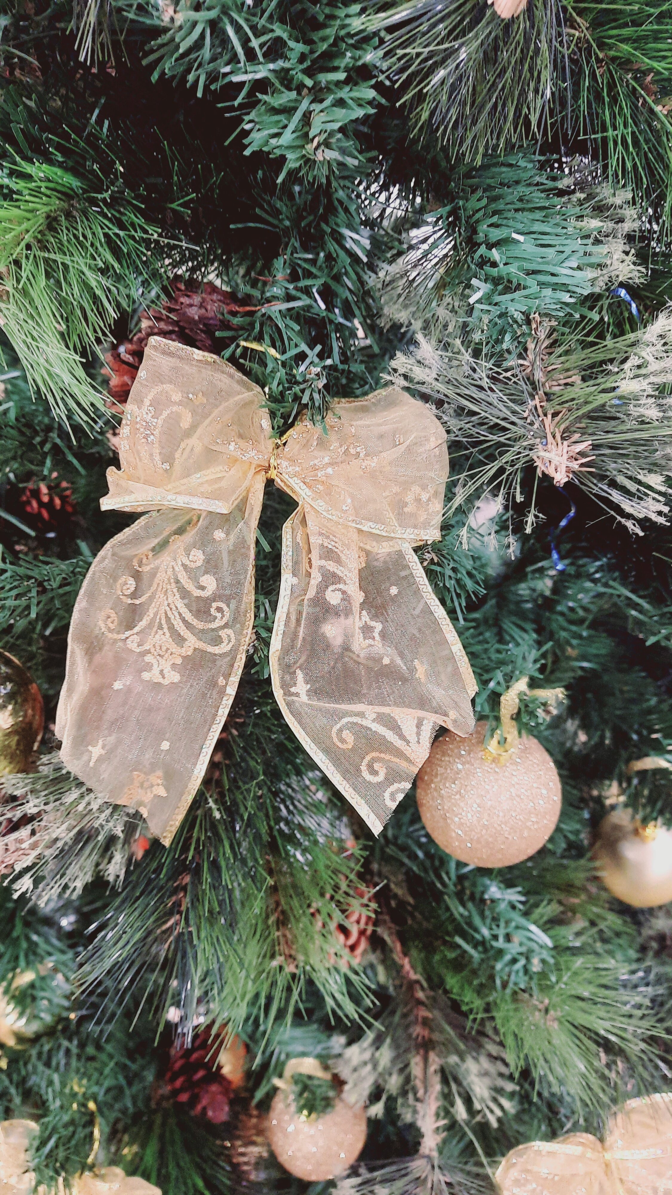 Фото Ностальжи